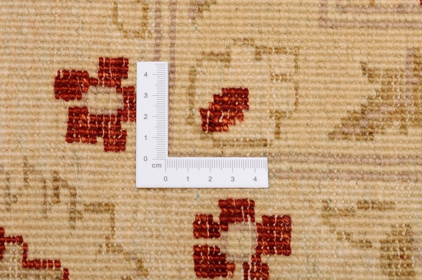 orientteppich-ziegler-265-x-392-cm-schurwolle-handgeknupft-flach-5 Ziegler Orientteppich 265 × 392 cm aus Wolle, handgeknüpft