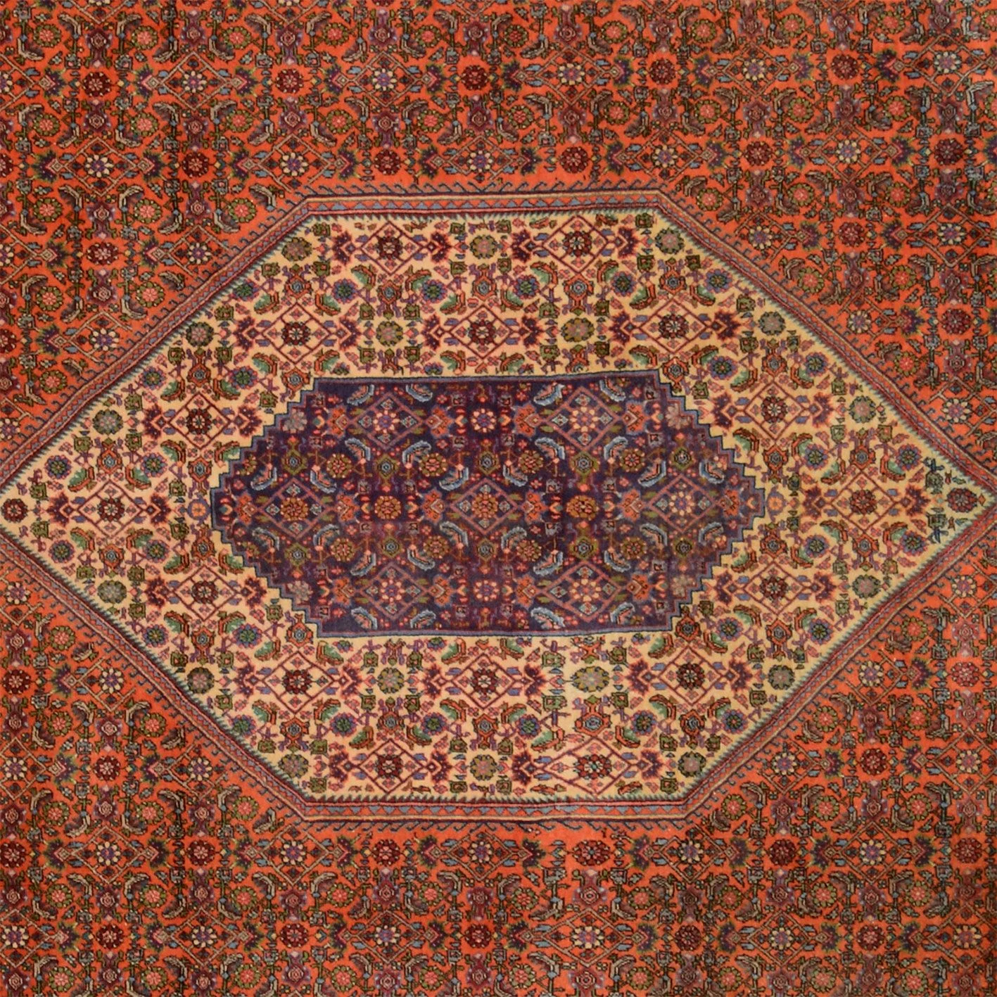 Handgeknüpfter Bijar Perserteppich, 257 × 361 cm, Wolle