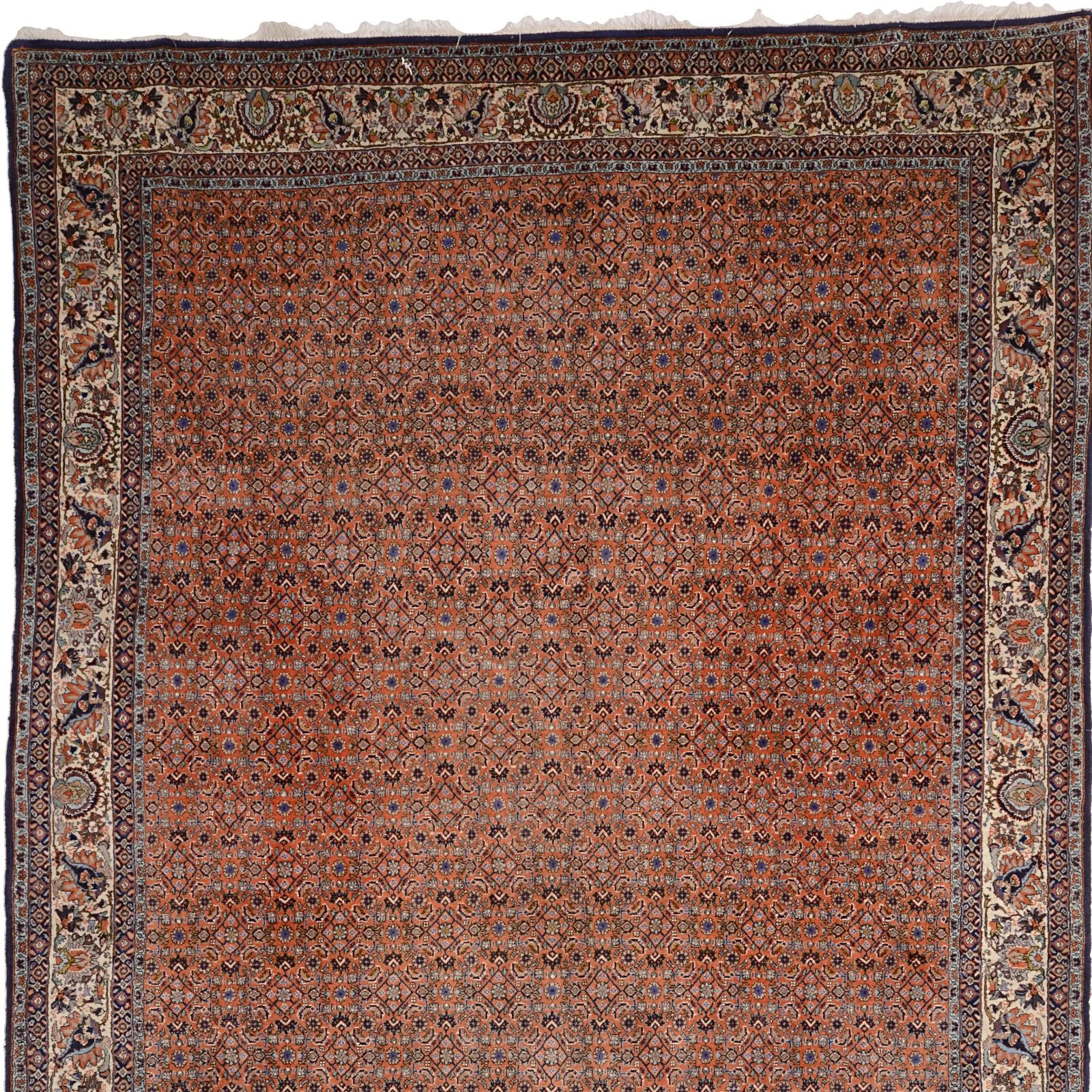 Handgeknüpfter Bijar Perserteppich, 204 × 295 cm, Wolle