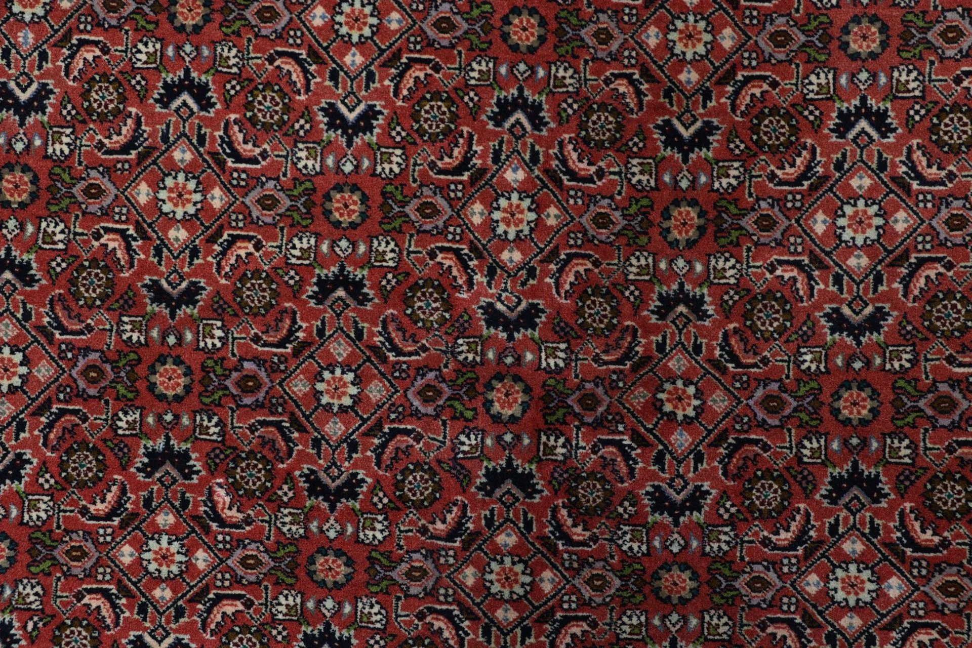 Handgeknüpfter Bijar Perserteppich, 178 × 250 cm, Wolle