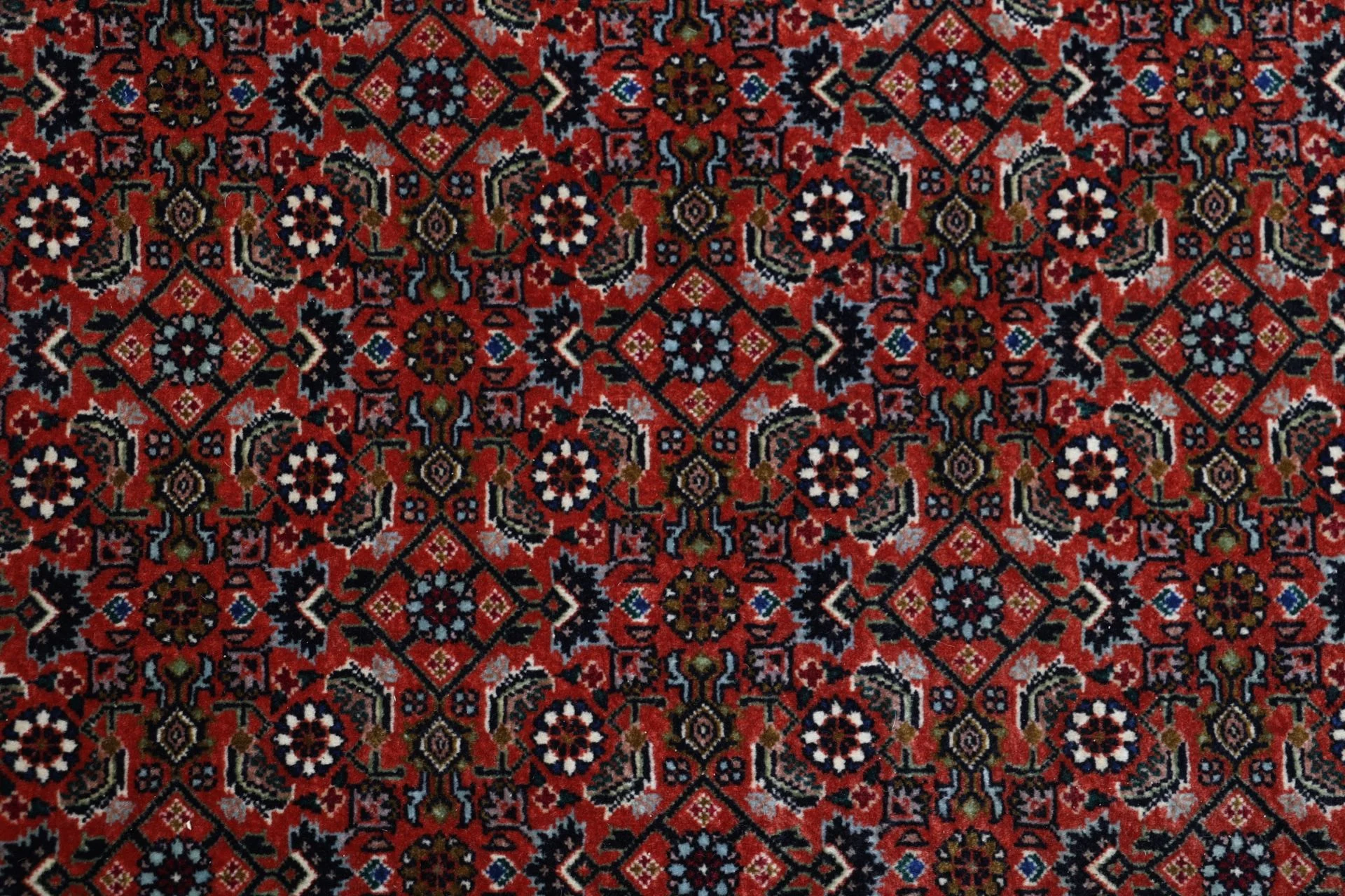 Handgeknüpfter Bijar Perserteppich 206 × 298 cm