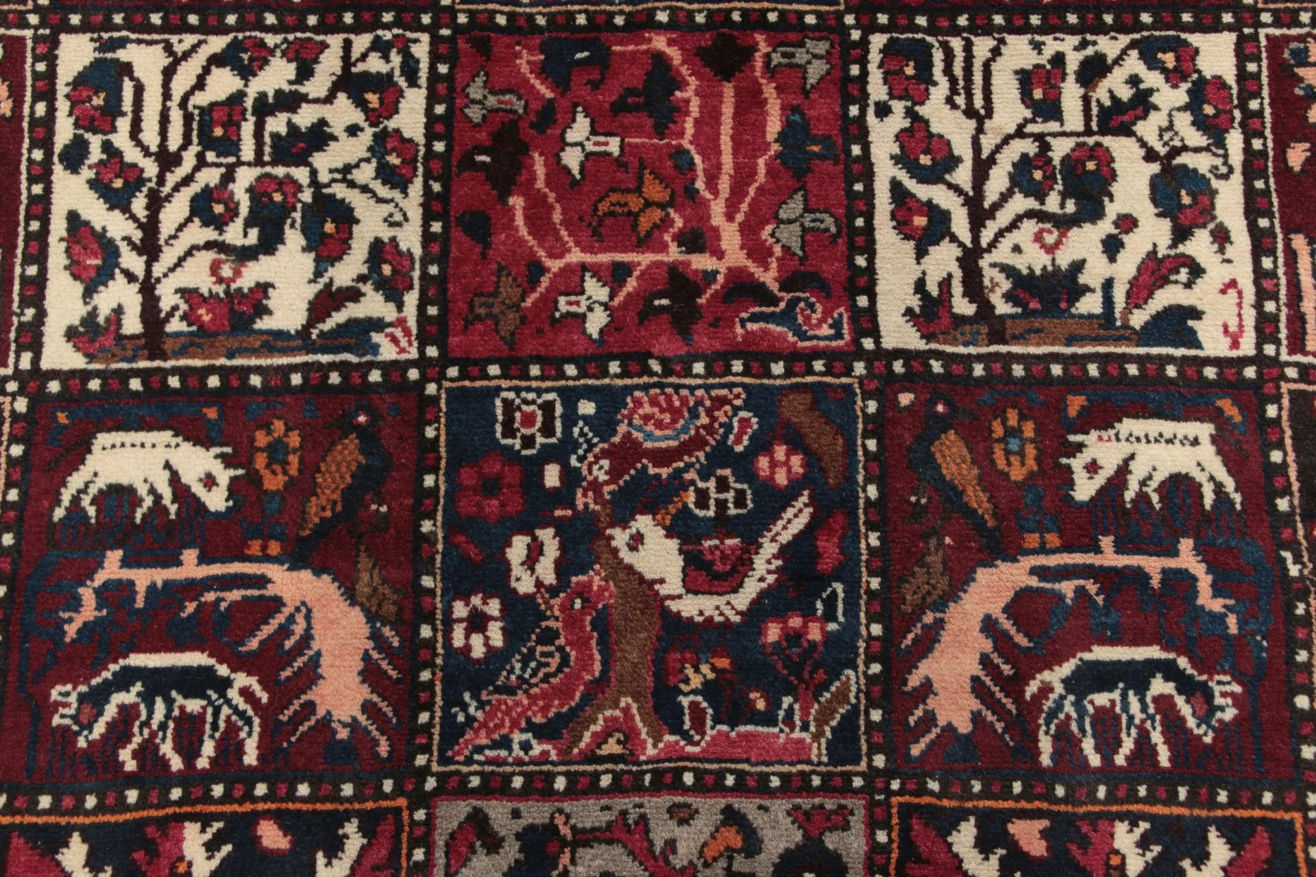 Bakhtiari Perserteppich aus Iran, 170 × 310 cm