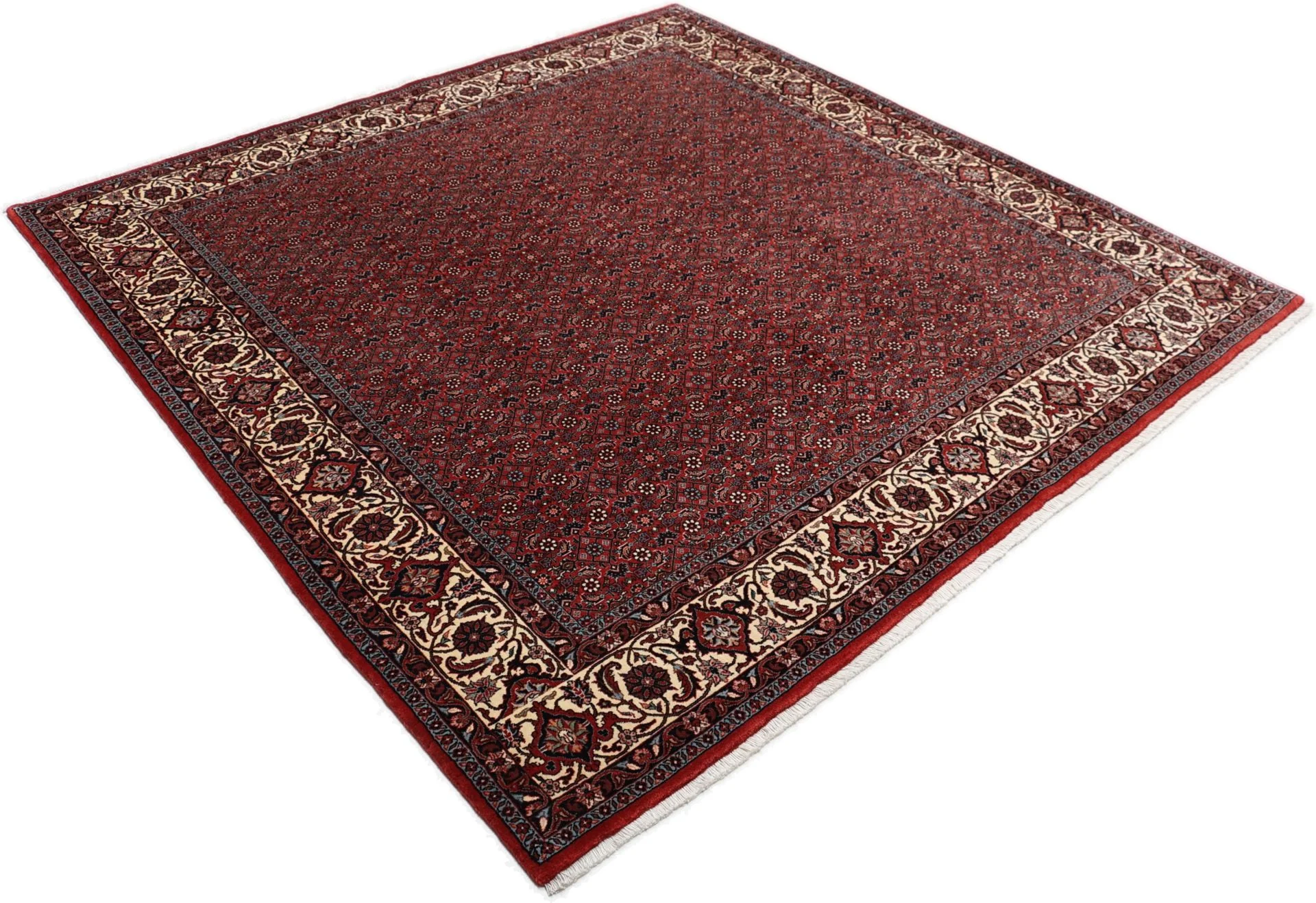 Handgeknüpfter Bijar Perserteppich, 204 × 205 cm, Wolle