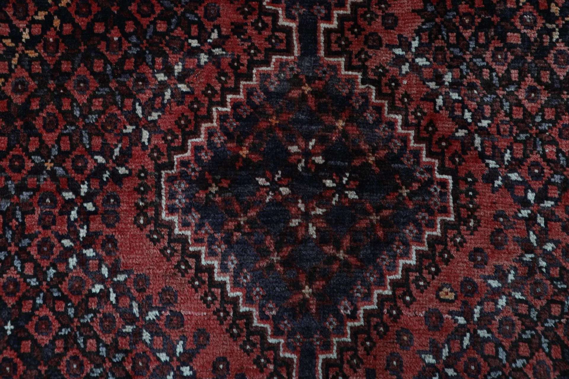 Shiraz Perserteppich 210 × 276 cm aus Wolle, handgeknüpft