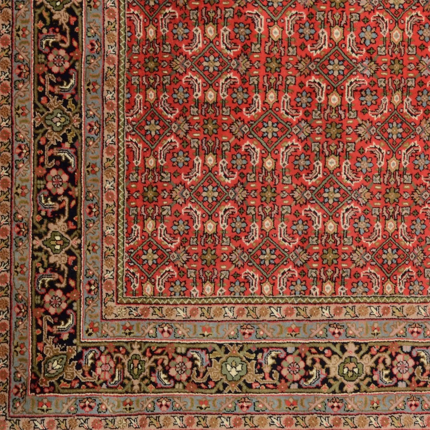 Handgeknüpfter Bijar Orientteppich, 208 × 300 cm, Wolle