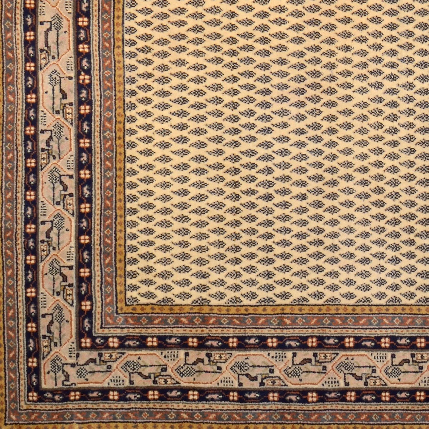 Handgeknüpfter Orientteppich 199 × 254 cm