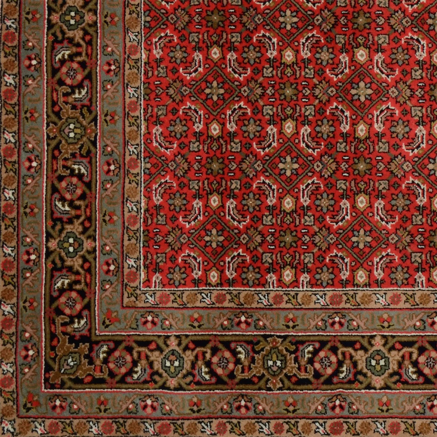 Handgeknüpfter Bijar Orientteppich, 170 × 241 cm, Wolle