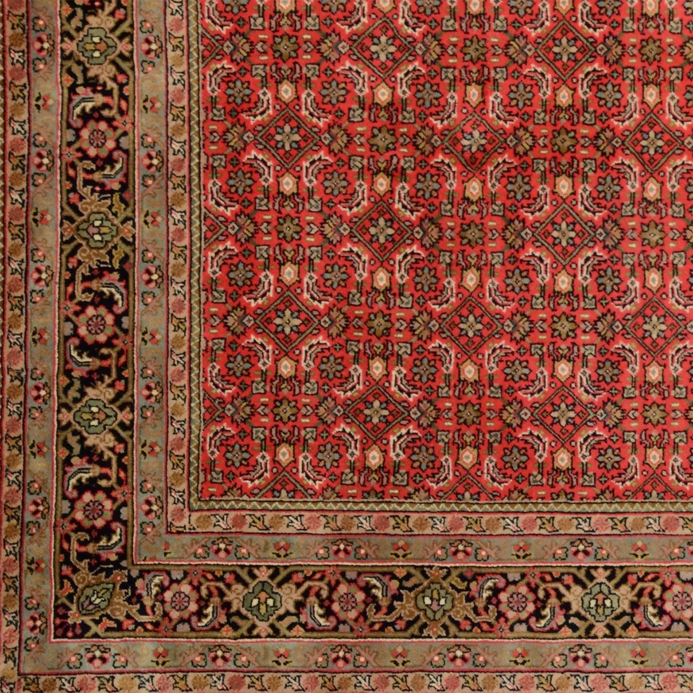 Handgeknüpfter Bijar Orientteppich, 201 × 288 cm, Wolle