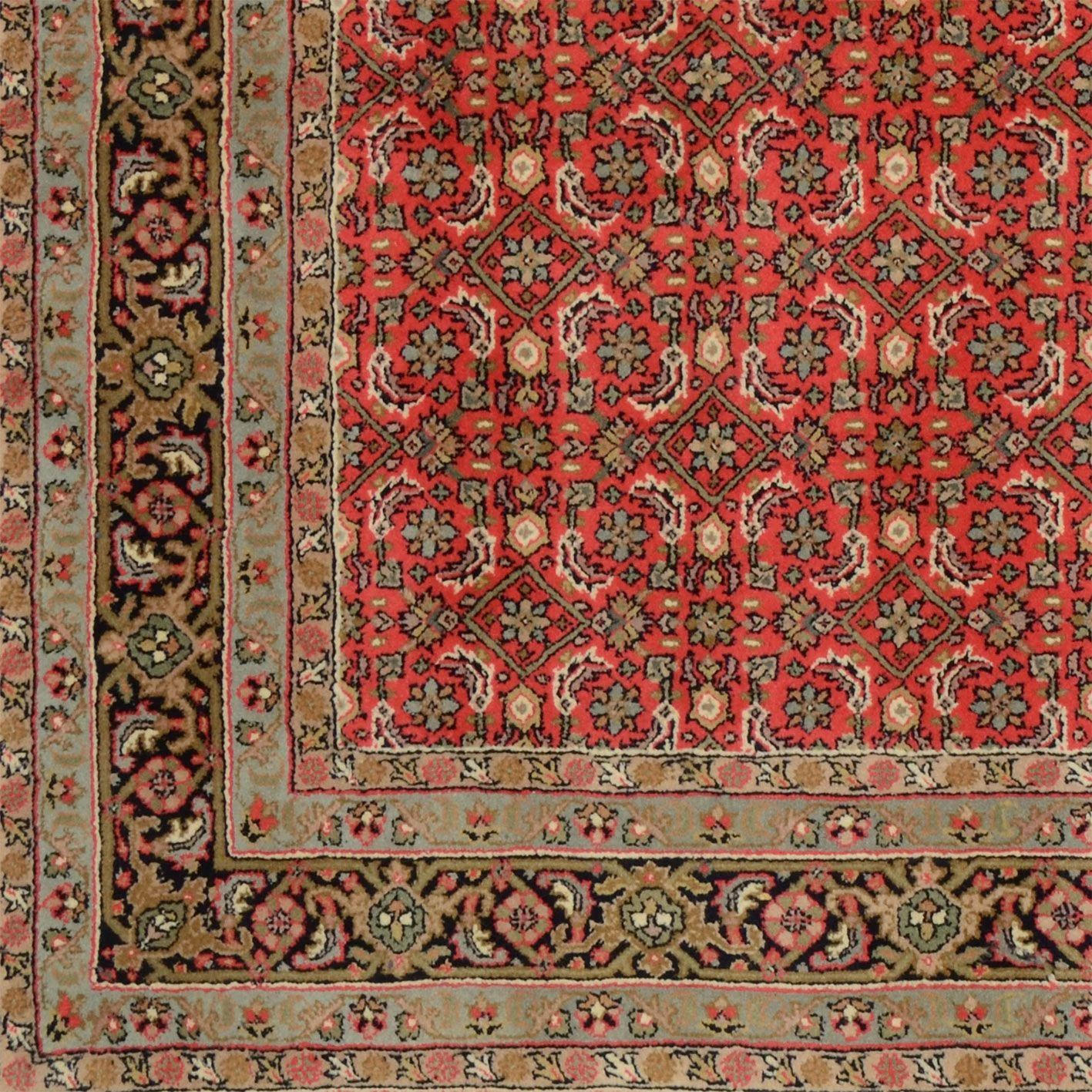 Handgeknüpfter Bijar Orientteppich, 166 × 244 cm, Wolle