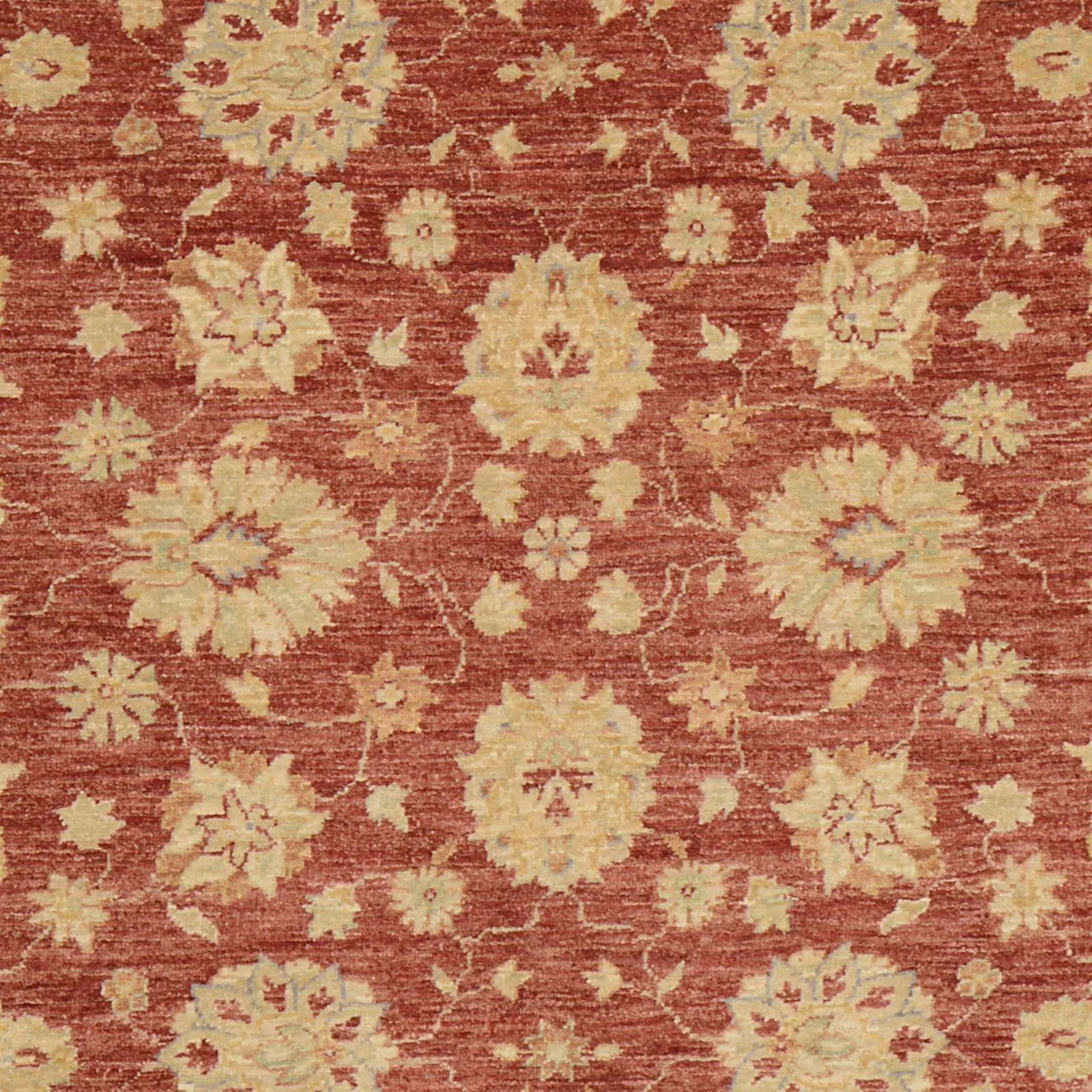 Handgeknüpfter Ziegler Orientteppich 223 × 154 cm