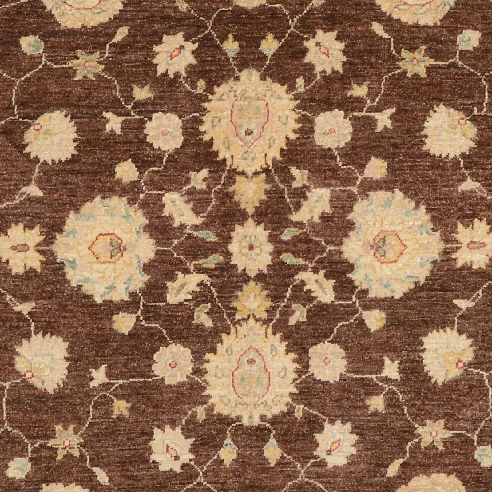 Handgeknüpfter Ziegler Orientteppich 170 × 239 cm