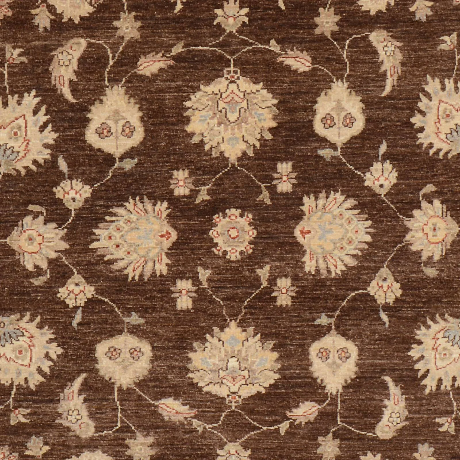 Ziegler Orientteppich aus Pakistan, 192 × 300 cm