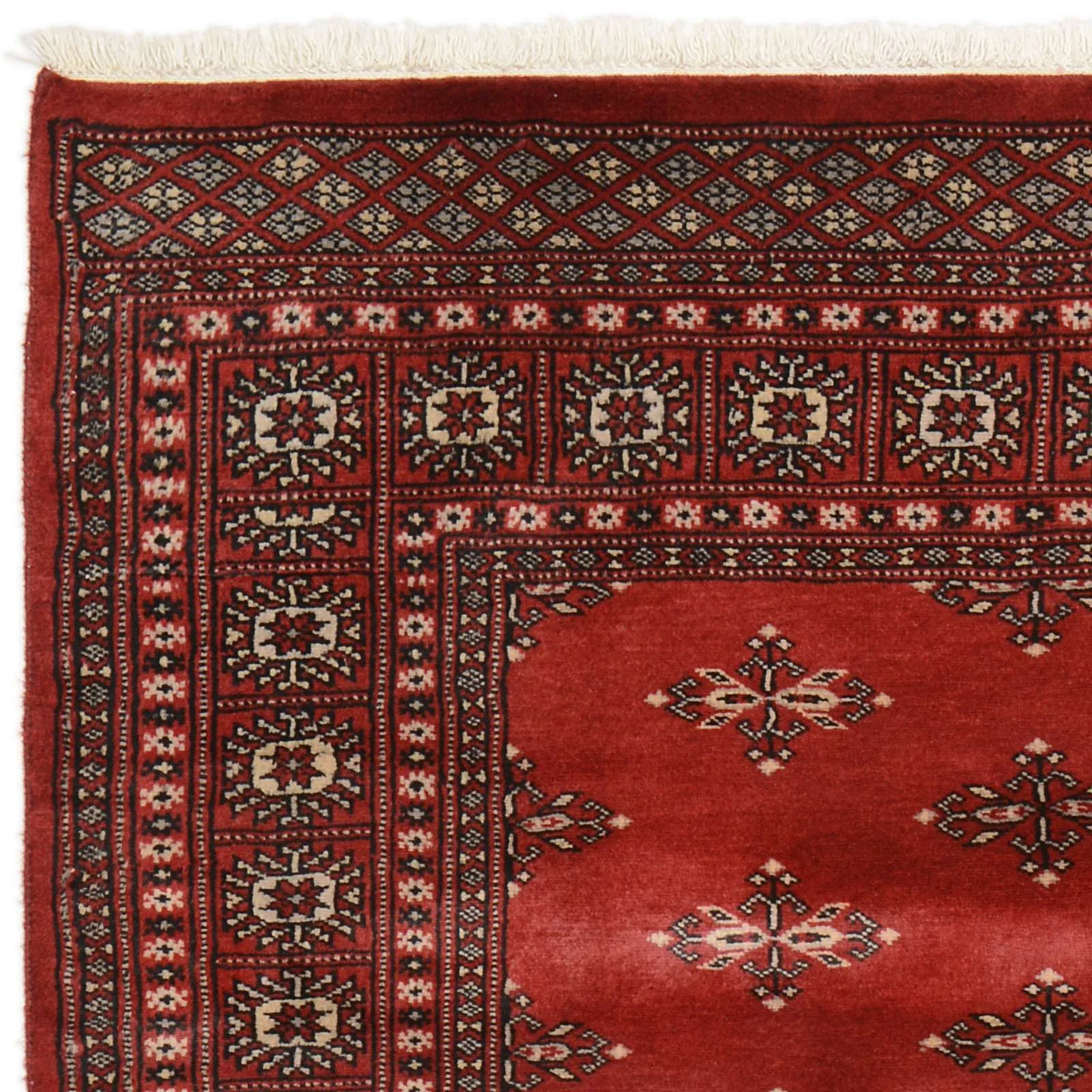orientteppich-buchara-121-x-180-cm-schurwolle-handgeknupft-4 Orientteppich aus Pakistan, 121 × 180 cm