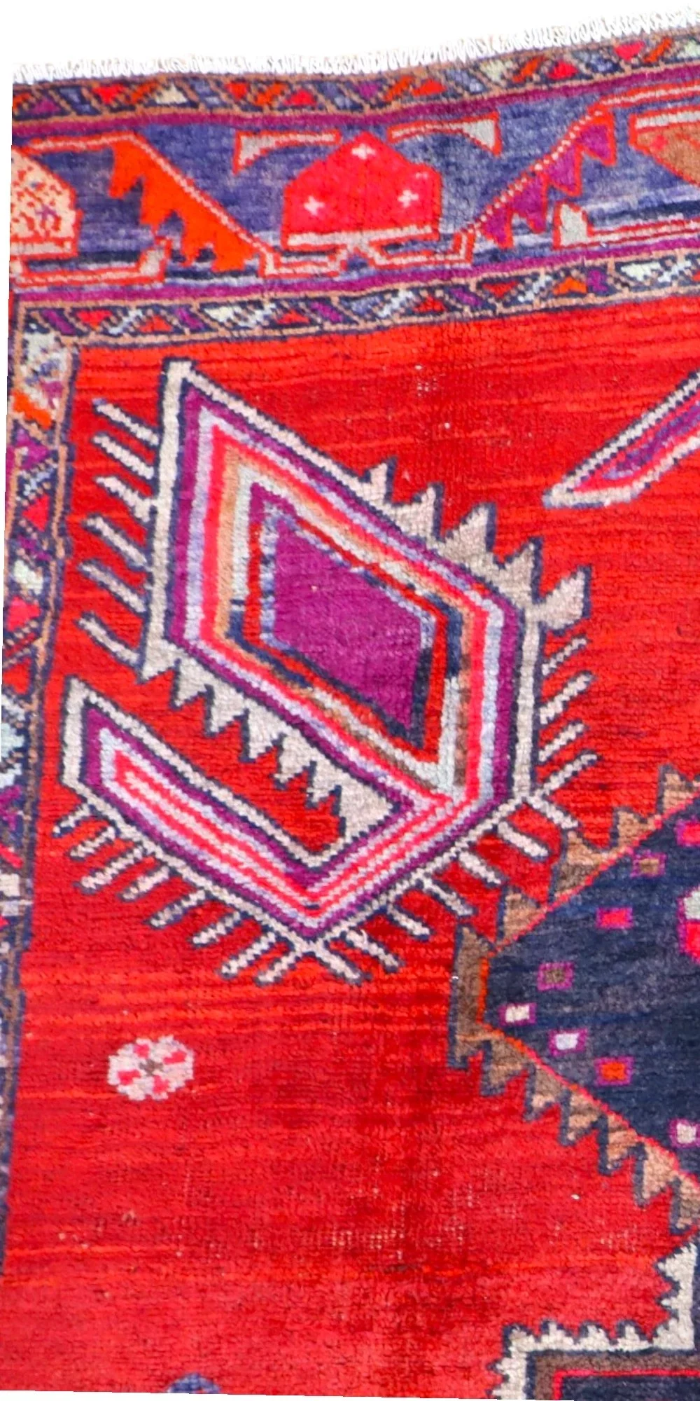 Hamadan Perserteppich 246 × 163 cm aus Wolle, handgeknüpft