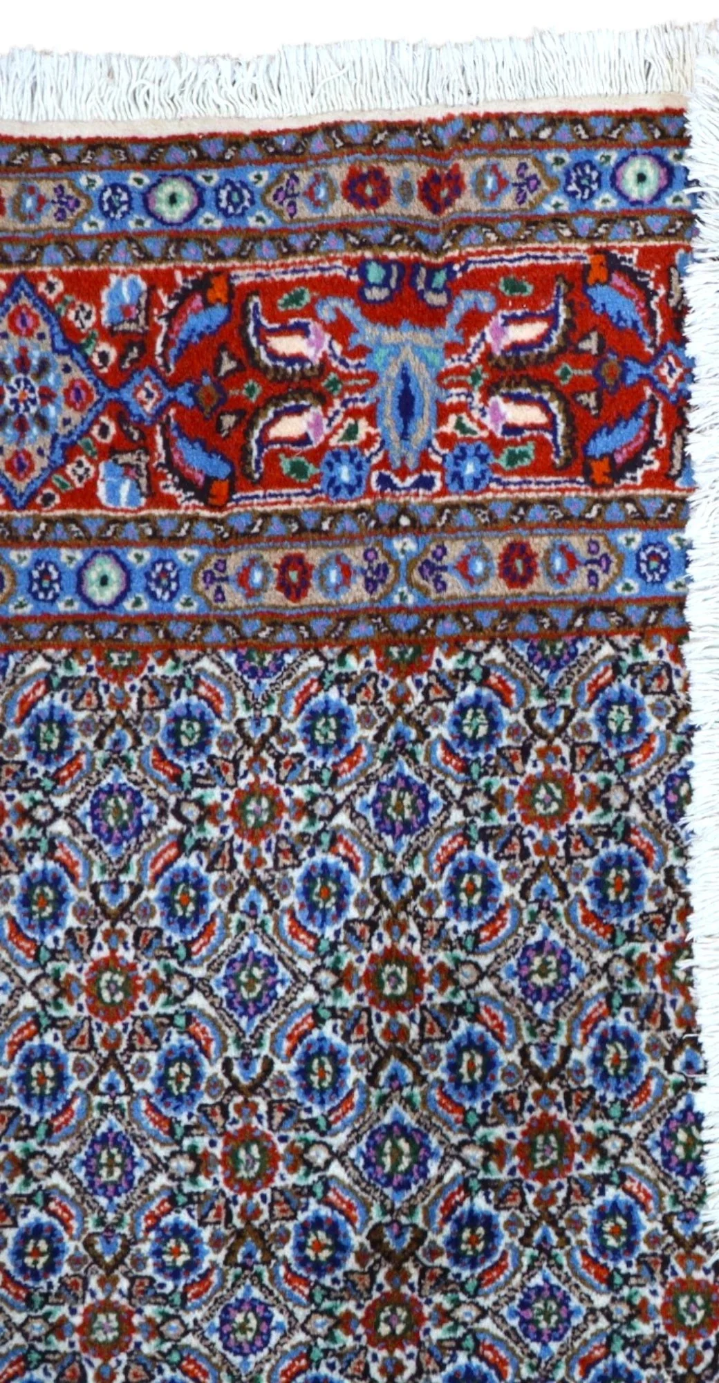 perserteppich-mud-250-x-155-cm-schurwolle-handgeknupft-rueckseite Moud Perserteppich aus Iran, 250 × 155 cm