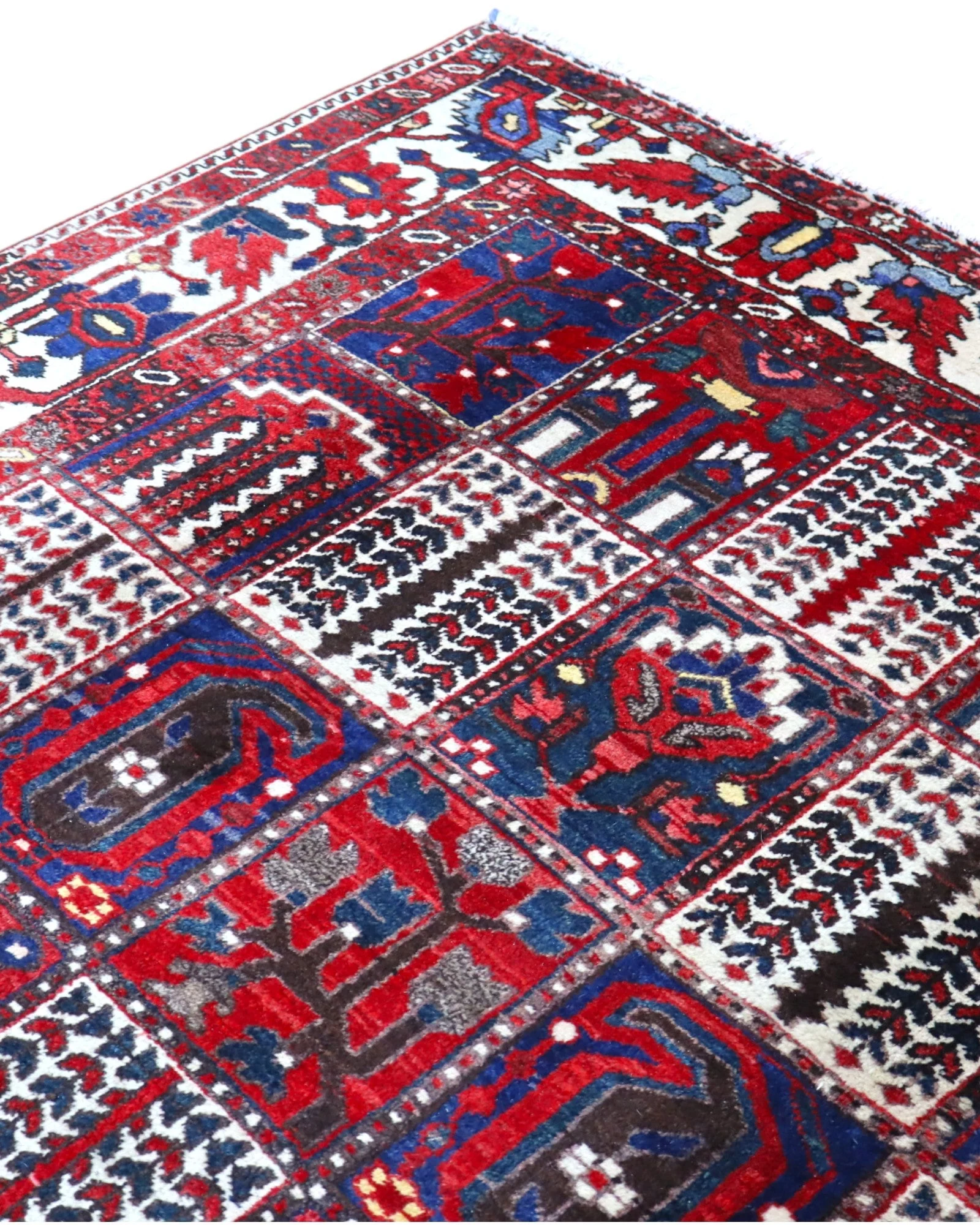 perserteppich-bakhtiary-306-x-211-cm-schurwolle-handgeknupft-14 Perserteppich 306 × 211 cm aus Wolle, handgeknüpft