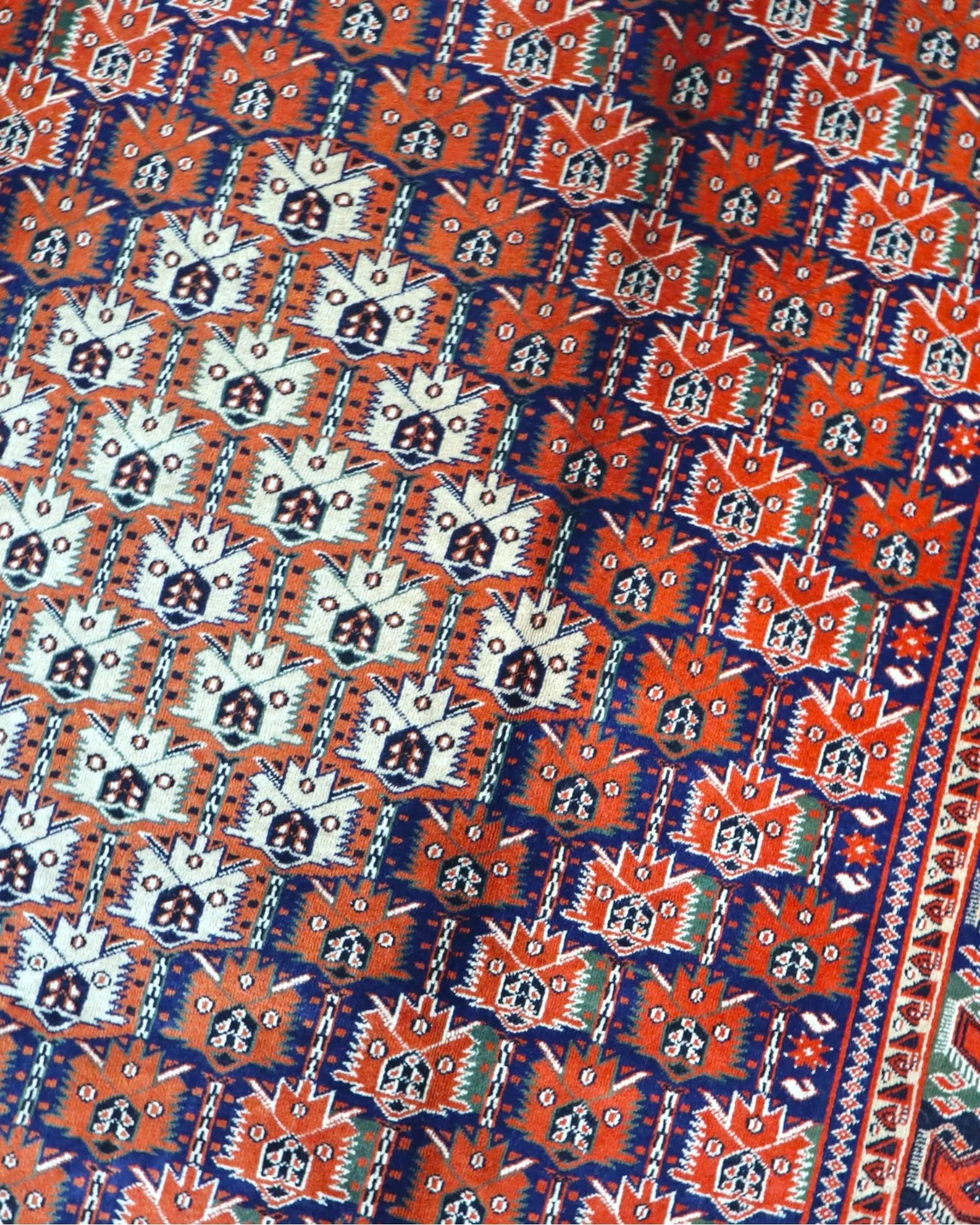 perserteppich-bokhra-251-x-175-cm-schurwolle-handgeknupft-20 Handgeknüpfter Perserteppich 251 × 175 cm