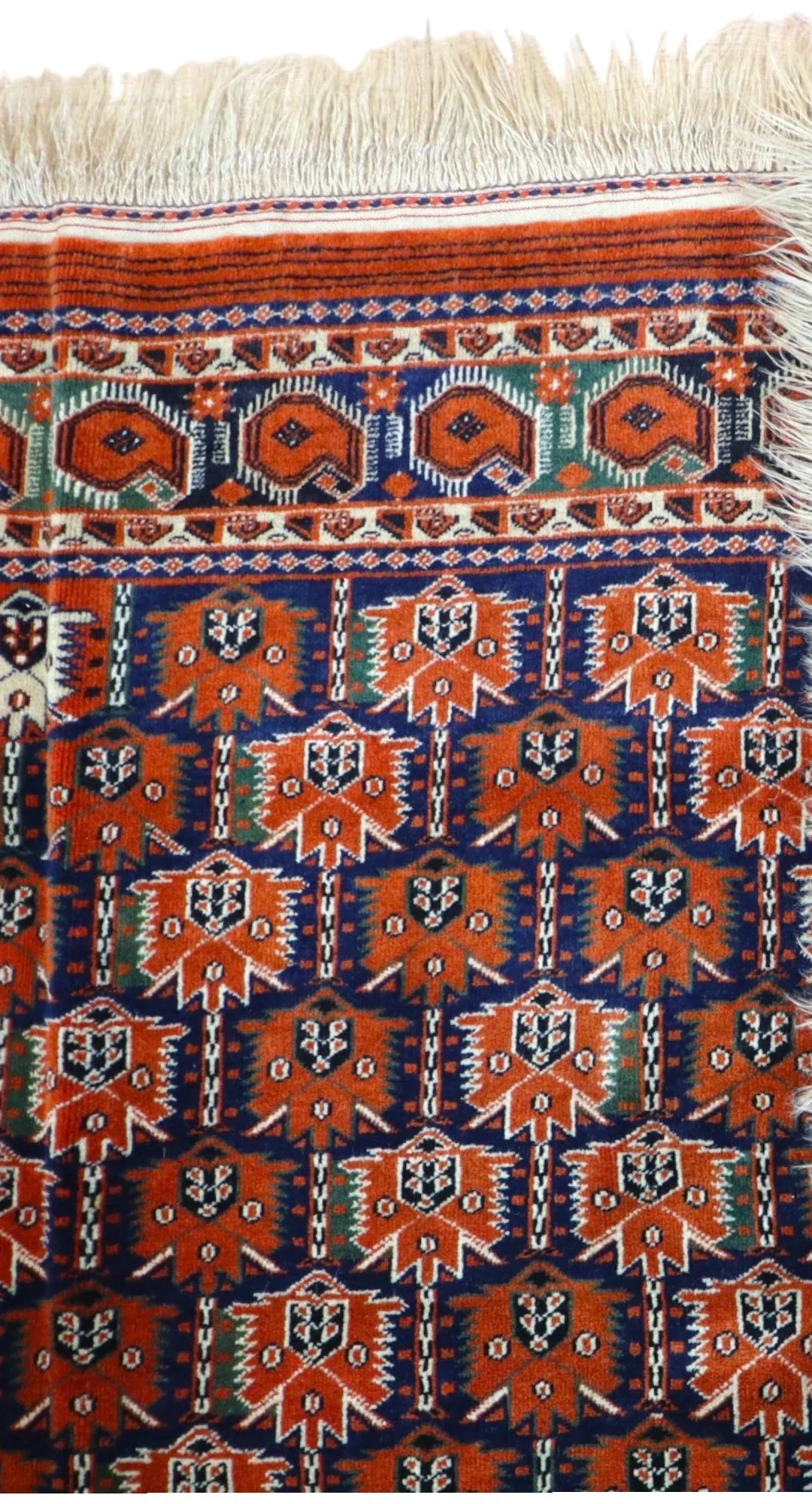 perserteppich-bokhra-251-x-175-cm-schurwolle-handgeknupft-rueckseite Handgeknüpfter Perserteppich 251 × 175 cm